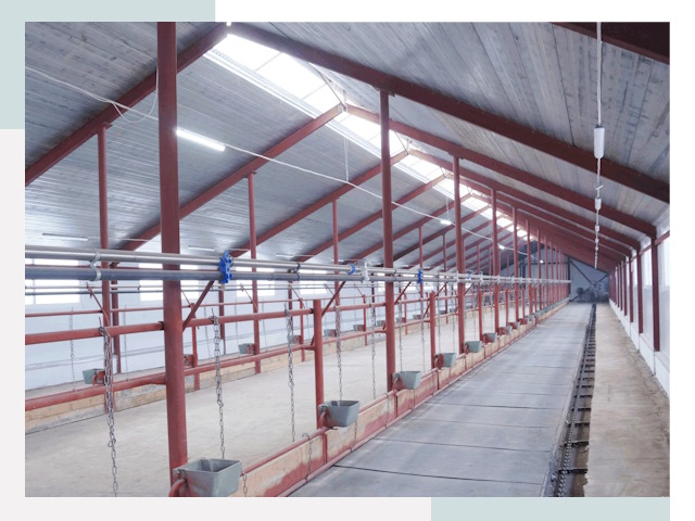 Строительство коровников в Тихвине от 656 руб.